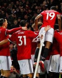  布莱顿海鸥军团展翅，主场力克纽卡斯尔联队